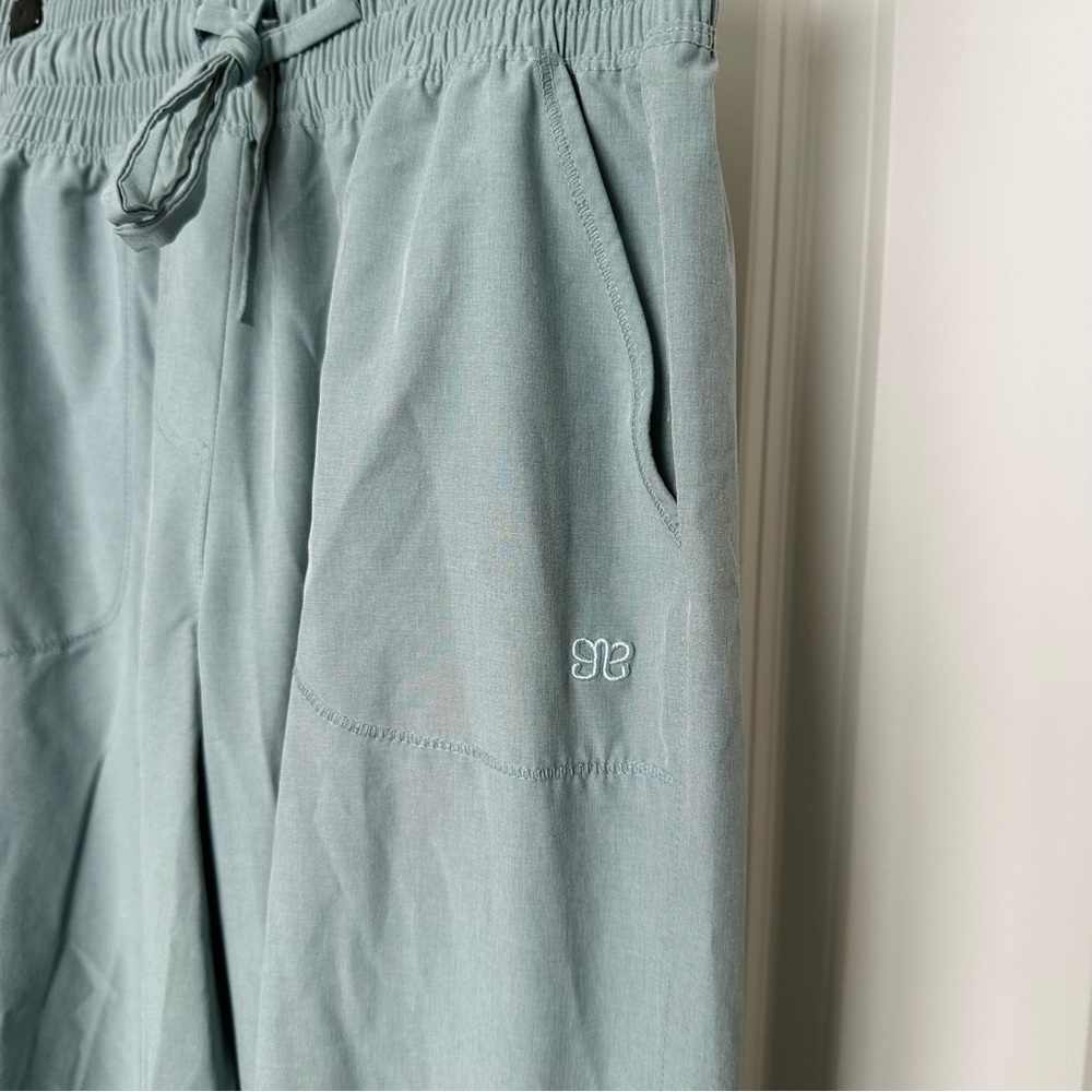 Albion Fit light blue destination jogger pants
